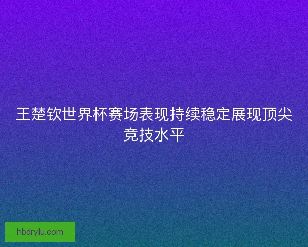 王楚钦世界杯赛场表现持续稳定展现顶尖竞技水平