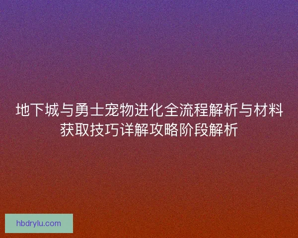 地下城与勇士宠物进化全流程解析与材料获取技巧详解攻略阶段解析
