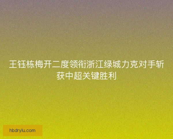 王钰栋梅开二度领衔浙江绿城力克对手斩获中超关键胜利