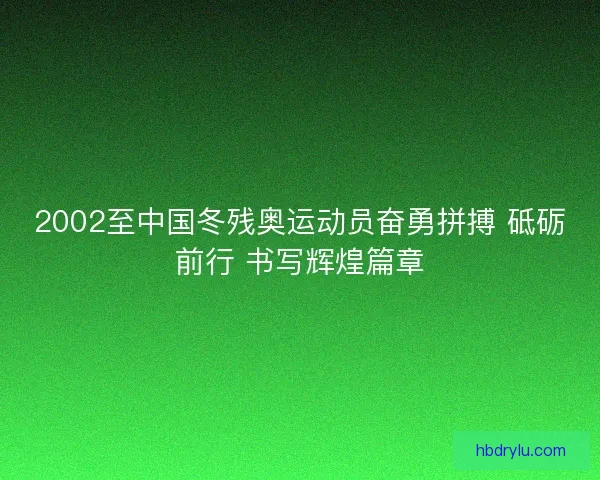 2002至中国冬残奥运动员奋勇拼搏 砥砺前行 书写辉煌篇章